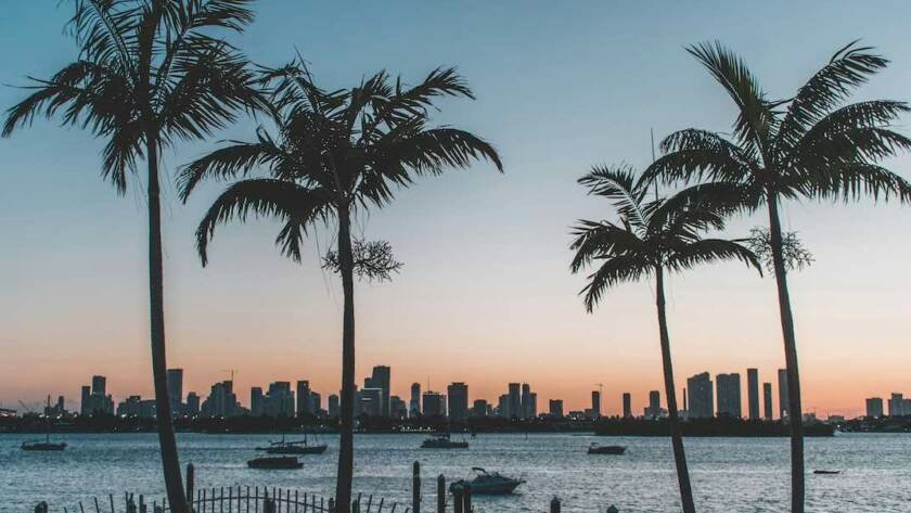 Miami Plastic Surgery